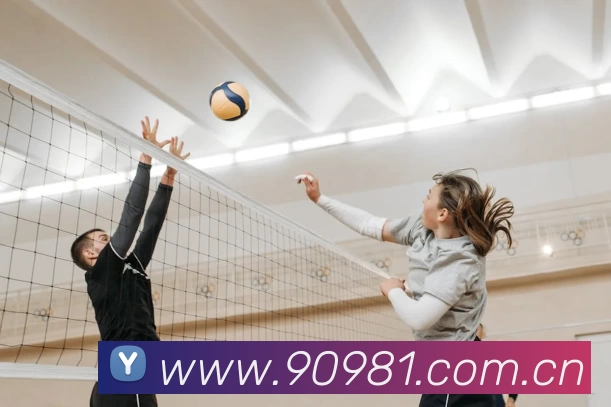 App Interface Preview